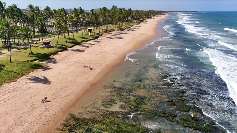 Praia de Vilas do Atlântico vista do alto: coqueiros, gramado, areia e mar com arrecifes.